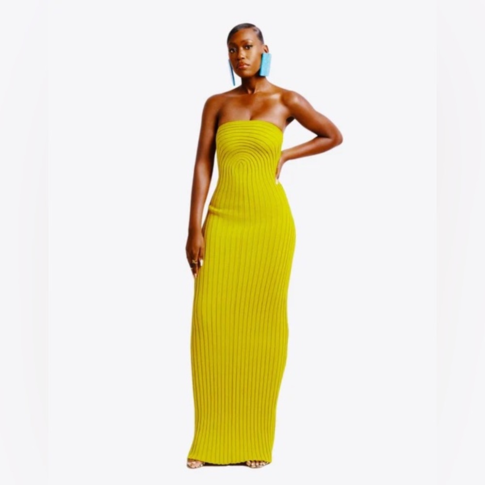 Hanifa Roxi Knit Tube Maxi